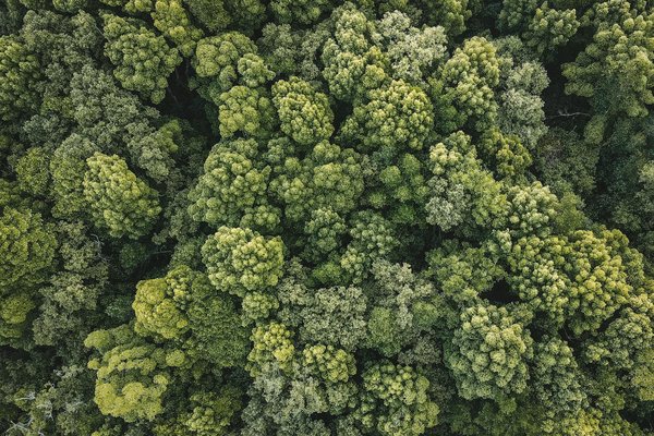 Panneau solaire photovoltaïque : guide complet pour bien choisir